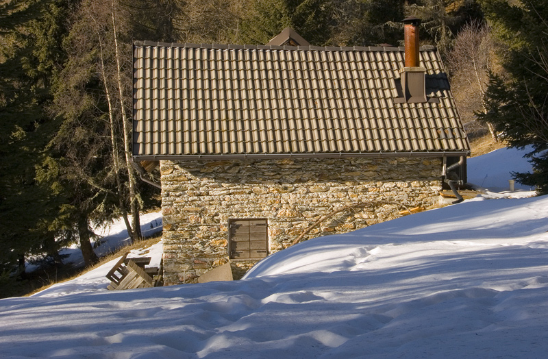 Cercando la neve.